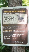 sign Coyote Habitat Area
Eastern coyotes inhabit this area, They are normally passive