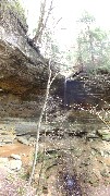 BT; Cantwell Cliffs; Logan, OH; rotated