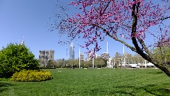Friendship Park; Cincinnati, OH