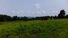 Bare Hill