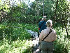 Hiking; Day Trips; Ruth Dorrough; Jean Bub; Bergen Swamp