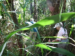 Hiking; Day Trips; Jean Bub; Ruth Dorrough; Bergen Swamp