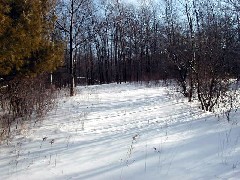 Ontario Pathways Trail day trips