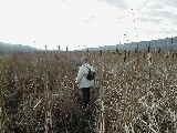 Ruth Dorrough; hike around Canandaigua Lake