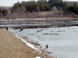 DEC Trail Lima; Day Trips; Hiking snow ducks