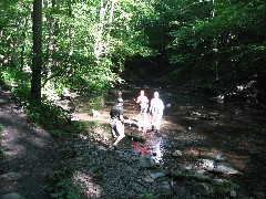Ruth Dorrough; Lyn Jacobs; Jean Bub; Grimes Glen