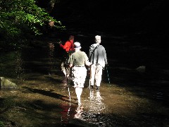 Lyn Jacobs; Ruth Dorrough; Jean Bub; Grimes Glen