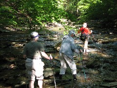 Ruth Dorrough; Jean Bub; Lyn Jacobs; Grimes Glen