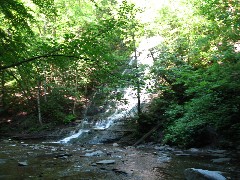 Grimes Glen