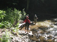 Lyn Jacobs; Ruth Dorrough; Grimes Glen