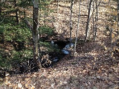 Hemlock Lake
