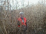 Ruth Dorrough; Hiking Day Trips Lehigh Valley Trail