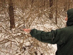 Ruth Dorrough; Hiking; Day Trips; Mendon Ponds; Chickadee bird;