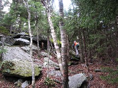 Ruth Dorrough; Pumpelly Trail; Monadnock Mountain NH
