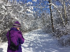 Lyn Jacobs; Ontario Pathways, NY