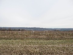 Seneca Lake; Day Trips