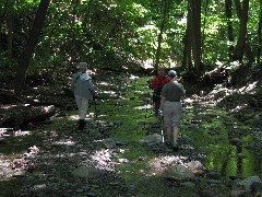 Jean Bub; Lyn Jacobs; Ruth Dorrough; Seneca Point