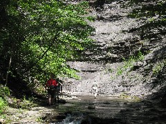 Jean Bub; Lyn Jacobs; Ruth Dorrough; Seneca Point