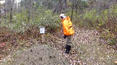 Ruth Bennett McDougal Dorrough; ant hill; Steege Hill Nature Preserve
see comments in DSCF5592 JPG