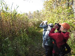 Jean Bub; Ruth Dorrough; Lyn Jacobs; Hiking; Day Trips; Victor; Auburn Trail