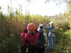 Lyn Jacobs; Ruth Dorrough; Jean Bub; Hiking; Day Trips; Victor; Auburn Trail