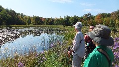 Jean Bub; Lyn Jacobs; Ruth Dorrough; Hiking; Day Trips; Wesley Hill