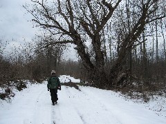 Ruth Dorrough; Hiking; Erie Canal; Palymra