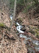 Hiking; FLT; Branch Trails; B-02