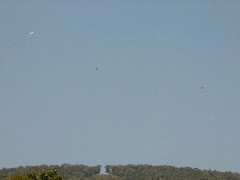 Hiking FLT B-02 hang gliders