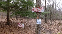 FLT; Branch Trails; B-03
sign private property
No hunting or vehicles
HIkers and Skies Welcome