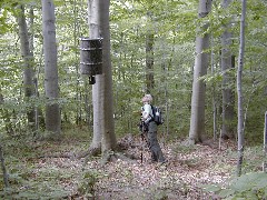Lyn Jacobs; CT06 Conservation Trail Hiking
