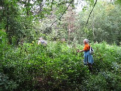 Ruth Bennett McDougal Dorrough; Onandaga Trail; FLT NCT Hiking