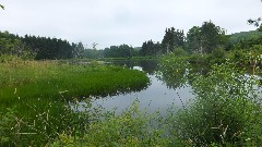 NCT; FLT; Onondaga Trail; O-02; Long Pond