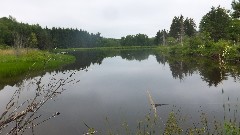 NCT; FLT; Onondaga Trail; O-02; Long Pond