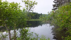 NCT; FLT; Onondaga Trail; O-02 Long Pond