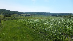 Onondaga Trail; NCT; FLT; O-02