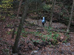 Ruth Dorrough; Hiking; Great Eastern Trail