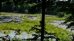IAT; Timberland Hills Segment, WI