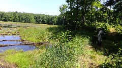 Ruth Bennett McDougal Dorrough; IAT; Timberland Hills Segment, WI