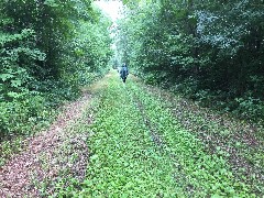 Ruth Bennett McDougal Dorrough; Judy Geisler; IAT; Wild Rivers Trail, WI; rotated