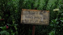 IAT
SIGN What if the hokey pokey is what it s all about
