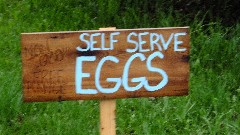 sign self serve eggs
Non GMO
Free Range