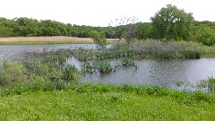 IAT; Springfield Hill, WI