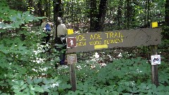 IAT; Ruth Bennett McDougal Dorrough; Judy Geisler; 
sign New Wood Segment
