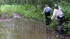 Ruth Bennett McDougal Dorrough; Judy Geisler; mud; IAT; Peter s Marsh Wildlife Area, WI