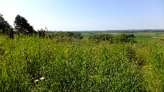 IAT, WI