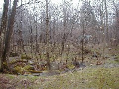 Hiking FLT M01 Allegany State Park