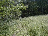 Ruth Bennett McDougal Dorrough; Hiking NCT FLT M04 Franklinville