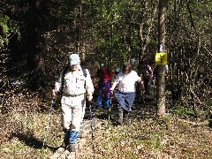 Gail Ellsworth; Boardwalk; Hike Series Hiking NCT FLT M-09