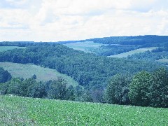Steuben County Hike Series; Cochrane Road